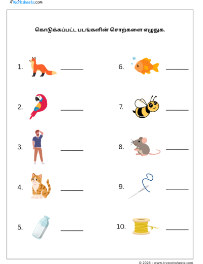 Tamil Grade 1 Worksheet – Write the Picture Words in Tamil | இரண்டெழுத்துச் சொற்கள்