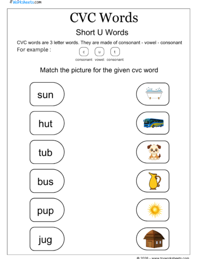 CVC Words Worksheets – Printable CVC Word Activities for Kids