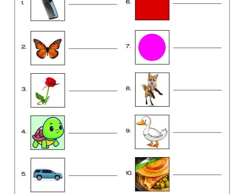 Tamil – Grade 2 Worksheet – Look at the Picture and Write the Name