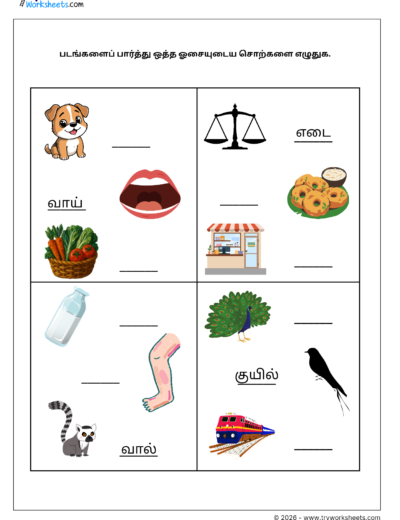 Tamil Grade 1 Worksheet – Write the Rhyming Words (ஒத்த ஓசையுடைய சொற்கள்)