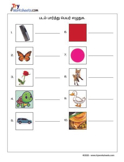 Tamil – Grade 2 Worksheet – Look at the Picture and Write the Name