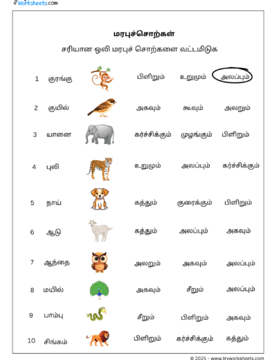Sariyana Oli Marabu Sorkalai Vattamiduga – Tamil Worksheet for Kids