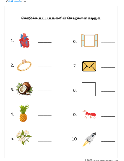 Tamil Grade 1 Worksheet – Write the Picture Words in Tamil | நான்கு எழுத்து சொற்கள்