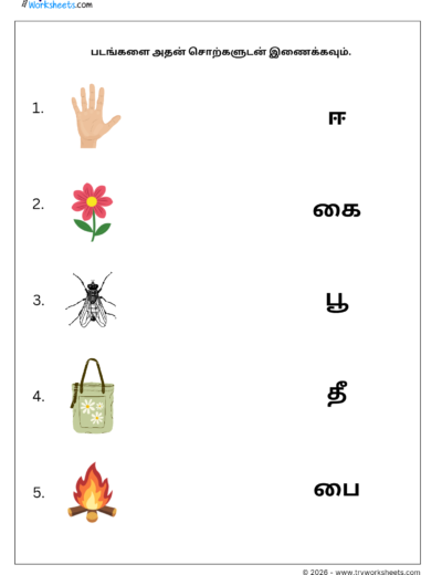 Tamil Grade 1 Worksheet – Match the One Letter Words with Pictures | ஒரு எழுத்து சொற்கள்