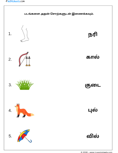 Tamil Grade 1 Worksheet – Match the Two Letter Words with Pictures | இரண்டு எழுத்து சொற்கள்