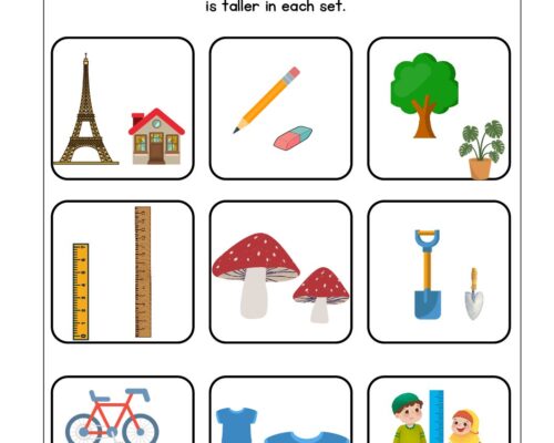 Math KG Worksheet – Tall and Short