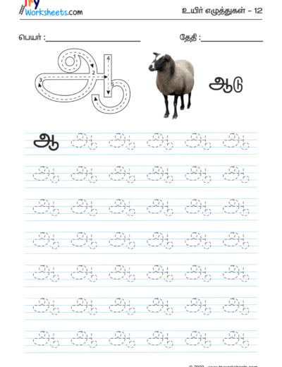 Tamil Tracing Worksheet -Letter -ஆ