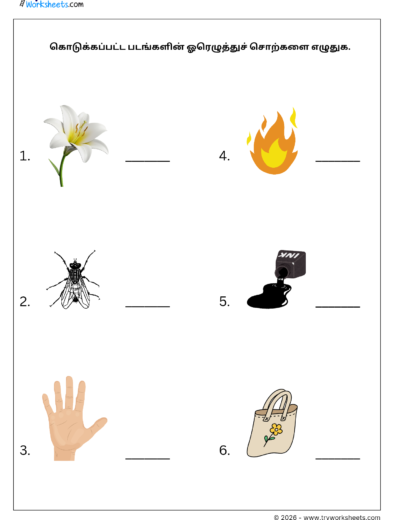 Tamil Grade 1 Worksheet – Write the One-Letter Tamil Words (ஓரெழுத்துச் சொற்கள்)