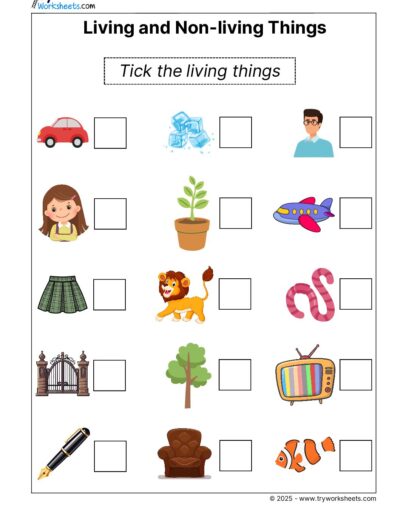 Science Grade 1 Worksheet – Living