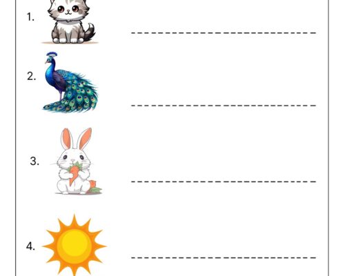 Look and Write – Picture Sentence Writing Worksheets for Kids