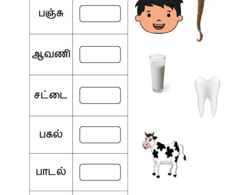புதிய சொல் உருவாக்குக – 4