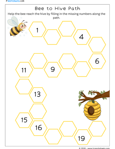 Missing Numbers Worksheets – B