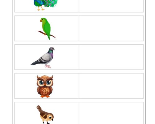 Tamil Grade 1 Birds ( பறவைகள் )