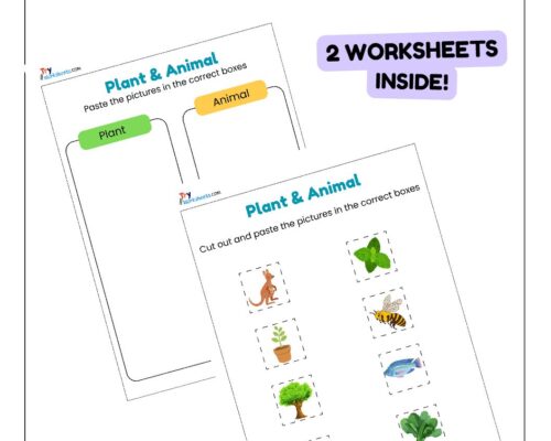 Science Activity Worksheets – Plants & Animals | Cut & Paste for Kids