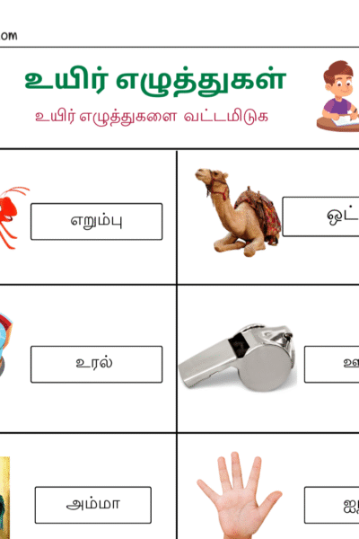 உயிர் எழுத்துகளை வட்டமிடுக