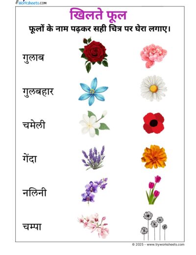 Hindi UKG Worksheet  – Flowers 1
