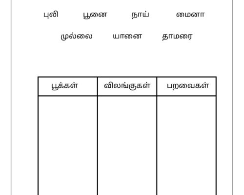Grade 2 – Tamil Worksheet – Classifications