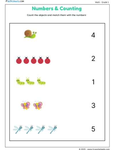Count the Objects and Match with Numbers