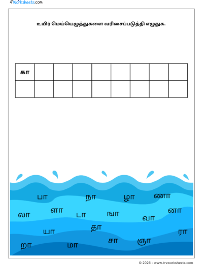 Tamil Grade 1 Worksheet – Arrange the Uyirmei Ezhuthukkal (கா Series) in Correct Order