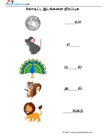 கோடிட்ட இடங்களை நிரப்புக