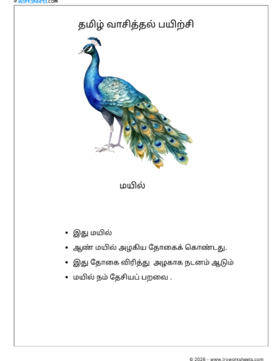 Tamil Short Passage Reading Practice Worksheets-Peacock