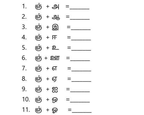 உயிர் மெய் எழுத்துகள் – ஞ வரிசை
