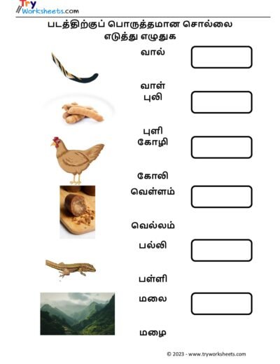 பொருத்தமான சொல்லை எடுத்து எழுதுக