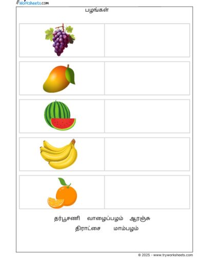 Tamil Grade 1 Fruits (பழங்கள்)