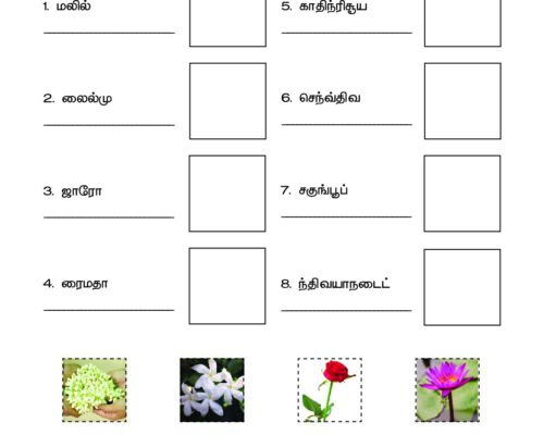Tamil – Grade 3 – Cut and Paste Worksheet – Arrange the Flower Names and Match with the Picture