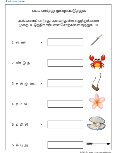 Tamil Unscramble Words Worksheet 3 – படம் பார்த்து கலைந்துள்ள எழுத்துகளை முறைப்படுத்துக