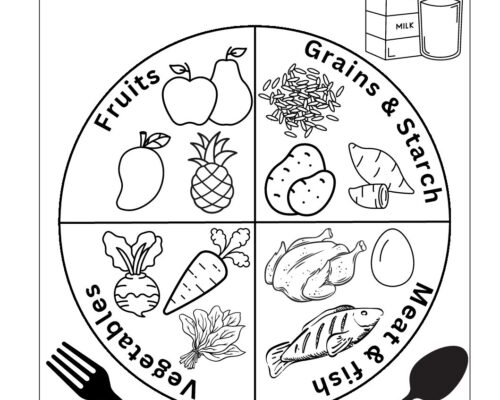 Science Grade 3 Worksheets – Color your plate – Balanced Diet