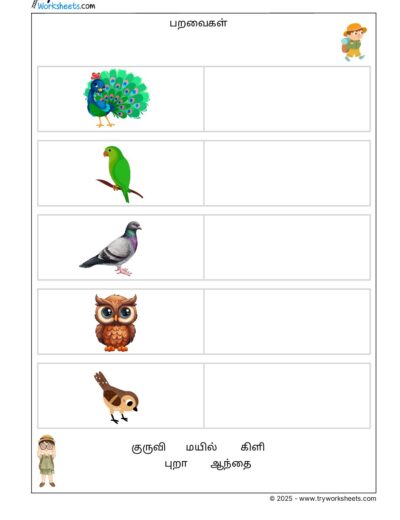 Tamil Grade 1 Birds ( பறவைகள் )
