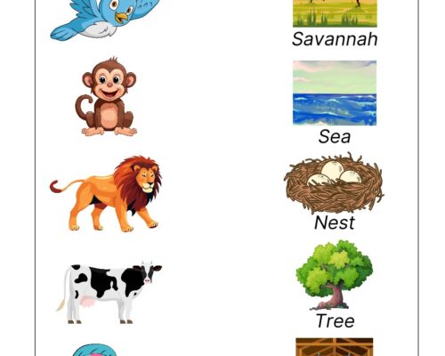 Science Grade 2 Worksheet Animal Habitat
