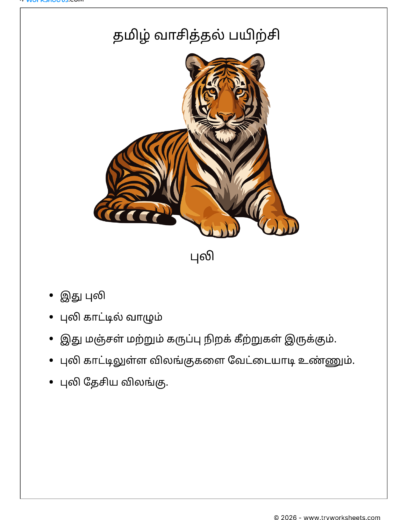 Tamil Short Passage Reading Practice Worksheets-Tiger