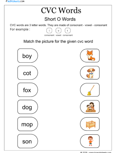 CVC Words Worksheets – Printable CVC Word Activities for Kids