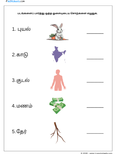 Tamil Grade 1 Worksheet – Write the Rhyming Words (Word Practice)