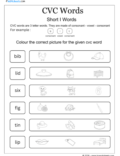 CVC Words Worksheets – Printable CVC Word Activities for Kids