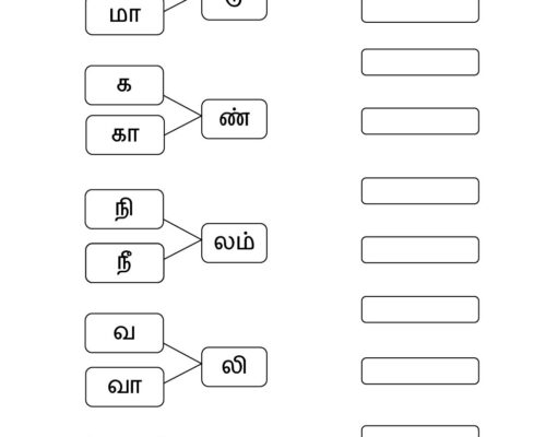 சொல் உருவாக்குவேன்