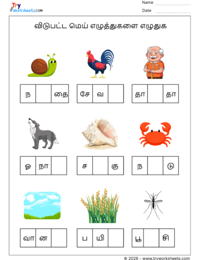 Tamil Mei Ezhuthukkal Worksheets – Fill in the Missing Letters