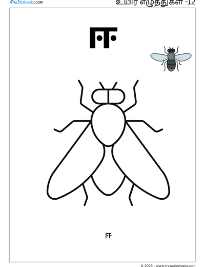 Uyir Eluthukkal Coloring Worksheet (ஈ) | Tamil Vowels Worksheet for Kids