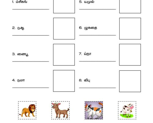 Tamil – Grade 3 –  Cut and Paste Worksheet – Arrange the Words and Match with the Picture –  Animal names