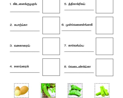 Tamil – Grade 3 – Cut and Paste Worksheet – Arrange the Vegetable Names and Match with the Picture