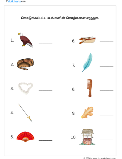Tamil Grade 1 Worksheet – Write the Picture Words in Tamil | மூன்றெழுத்துச் சொற்கள்