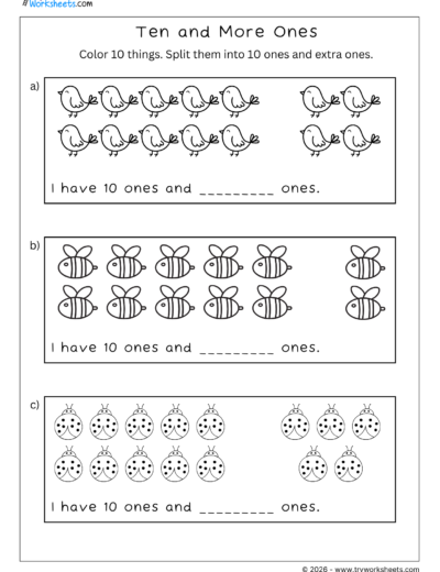 Place Value – Ten and More Ones – C
