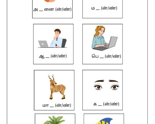 Tamil – Grade 2 – Choose the correct letter