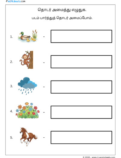 Tamil Sentence Formation Worksheet | படம் பார்த்து எழுதுக