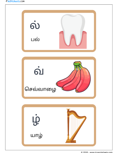 Tamil Mei Ezhuthukkal Flash Cards – Page 5 | ல் வ் ழ்