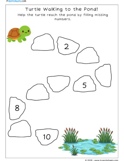 Turtle Walking to the Pond-Missing Numbers