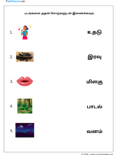 Match Three Letter Tamil Words Worksheet 6 | படங்களை சொற்களுடன் இணைக்கவும் | Free PDF