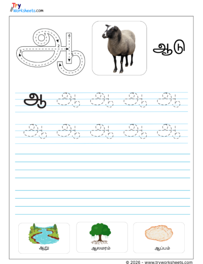 Tamil Letter ஆ Writing Practice | Learn Words Starting with ஆ